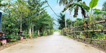 Cấn bán đất view sông Khánh Đông, Khánh Vĩnh. Diện tích 319m có 70m thổ cư