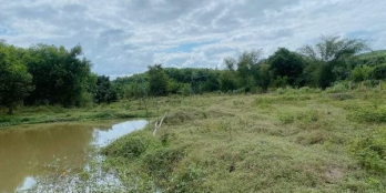 Bán lô đất Khánh đông. Suối bao quanh đất