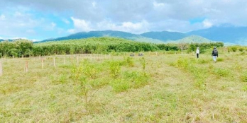 Bán nhanh lô đất CLN ở Khánh Đông, Khánh Vĩnh giá đón tết