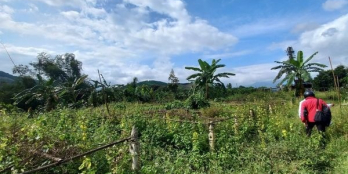 Bán gần 1.5ha đất vườn xã Cầu Bà, Huyện Khánh Vĩnh