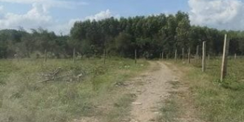 Bán lô đất Khánh Đông rẻ để đầu tư