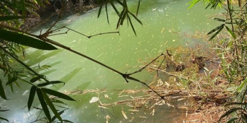 BÁN 1,5HECTA ĐẤT ĐỎ - KTY3 CHƯ KPÔ - KRÔNG BUK