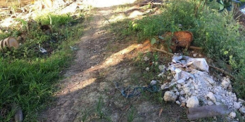 bán 2779m ruộng ngan 32m giáp kinh.