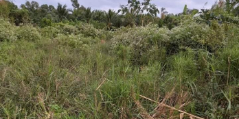 Bán đất nền, ngang 5x18 full thổ cư