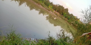 BÁN 2 CÔNG ĐẤT VƯỜN LỘC HOÀ Phân lô trên 14 nền.