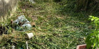 trục phụ chợ Phước yên, xã Phú Quới gần chợ,