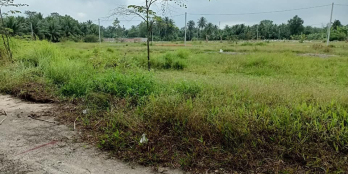 Cần bán đất nền xã Thanh Đức-Long Hồ-Vĩnh Long: