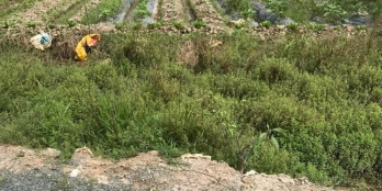 Thửa đất đẹp Phước Hậu giá đầu tư.