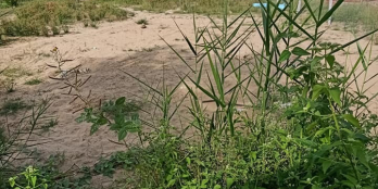 Chủ gửi 3 nền thạnh Quới .long hồ vĩnh long