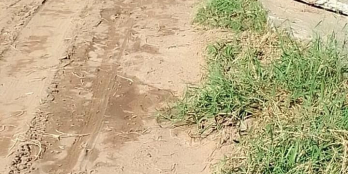  Nền đẹp Xã Lộc Hoà, Long Hồ DT 7x29 tổng 203m cln