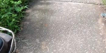 2 LÔ ĐẤT THỔ - ĐỐI DIỆN CÂY XĂNG HỒNG DUYÊN