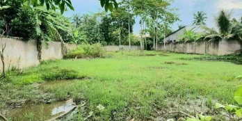 Bán nền Biệt Thư đẹp khu Hoàng Hảo,