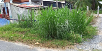 Bán đất xã Tân Long, lộ nhựa 5 tấn. 2 nền đôi, mua nền nào bán nền đó. 5 x40 = 2