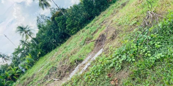 272m2 (2 nền) đất gần UBND xã Tân Long, Mang Thít. Giá chỉ 250tr/nền