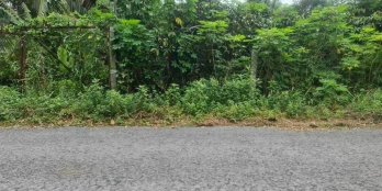 Bán gấp 2.352m2 (37× 67) đất vườn. Số 3 Mang Thít. Cách tỉnh lộ 903 100m