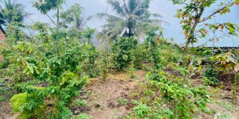 Cần bán đất mặt tiền quốc lộ 53. Mang Thít  Vĩnh Long.