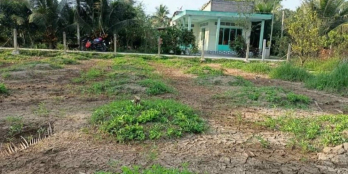 Bán đất Mỹ Lương, Mỹ phong cách nhựa 90E 100m đường 2,5m giá hấp dẫn