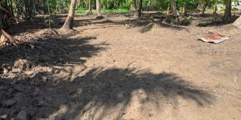 Bán đất tại ấp Phước Hoà - xã Phước Thạnh - TP.Mỹ Tho- Tiền Giang