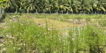 BÁN 1.500M ĐẤT LÝ TƯỞNG ĐỂ NGHĨ DƯỠNG Ấp 1. Xã Trung An. Tp Mỹ Tho