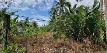 Ngộp bán gấp Đất 736,5 m2 Mặt Tiền Huyện Lộ 94 Đất thuộc Ấp 4 , Trung An