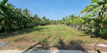 MS52 Bán đất nghĩ dưỡng 1036m2 (CLN) tại ấp Long Hòa B, Xã Đạo Thạnh, Mỹ Tho