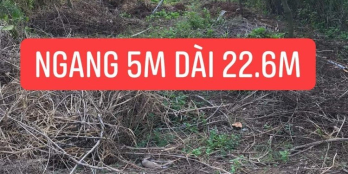 Đất bán tại Ấp phong Thuận - Xã Tân Mỹ Chánh -TP Mỷ Tho Tỉnh TG