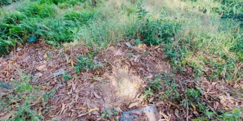 Mặt tiền nhựa Trần Thị Thơm  Thuộc Tân Mỹ Chánh Mỹ Tho