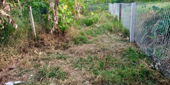 BÁN ĐẤT PHƯỜNG 6, TP MỸ THO, TIỀN GIANG cách đường Phan Lương Trực 120m