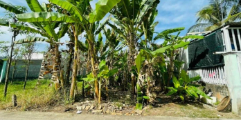 Bán 2 nền ấp 3 trung an cách phạm hùng 200m, cách hl 93 100m đường thông