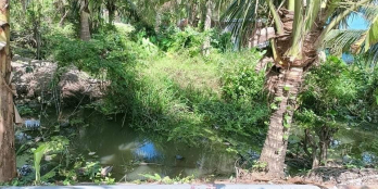 CẦN RA ĐẤT CÔNG 2 MẶT TIỀN ẤP PHƯỚC HÒA , XÃ PHƯỚC THẠNH , MỸ THO