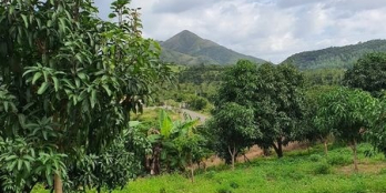 Đất đẹp Vĩnh Lương Nha Trang cho khách đầu tư dài hạn