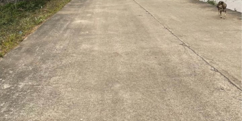 hanh lý lô đất tại sơn thành nho qoan  đường rộng 10m