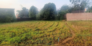 Làng ngải văn phong nho quan nb 15×20 trong đó có 100 thổ cư