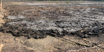 Đất vườn sát VD3 xe hơi tới đất có đường hiện hữu thể hiện trên sổ hồng