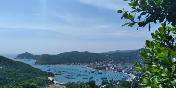 Bán 1ha(10.000m²) đất đồi vĩnh hy. Huyện Ninh Hải, tỉnh Ninh Thuận