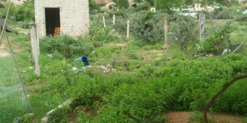 Cuối năm cần tìm chủ mới cho lô đất 225m2 với giá 280tr