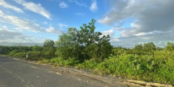 Cần bán đất thôn Tân Sơn , xã Ninh Xuân