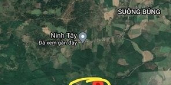 BÁN ĐẤT rừng sản xuất Ninh Tây,Ninh Hòa. Tổng diện tích hơn 26ha