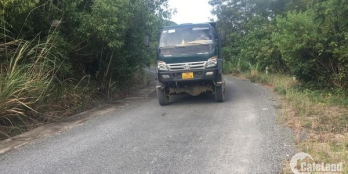 Đất Rừng Tiên Du 1HA2 - NINH PHÚ NINH HOÀ