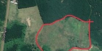 Cần ra nhanh lô rẫy Suối Sâu-Ninh Tân view suối cực đẹp