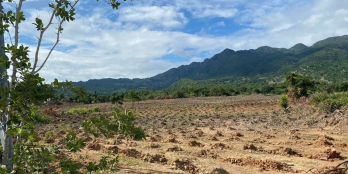 Đất tổng 60.000 m2 có sổ chính chủ ( Tên em)