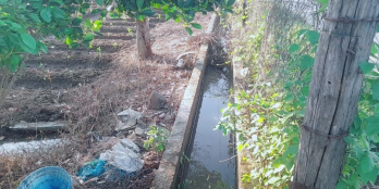 Chị em kẹt tiền bán gấp gần 1,5 sào đất HNK