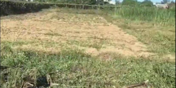 Đất hnk Ninh Phước   Dt hơn 3000mv