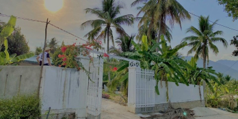 Cần Bán Gấp khu Vườn Cây Ăn Trái khu vực song pha