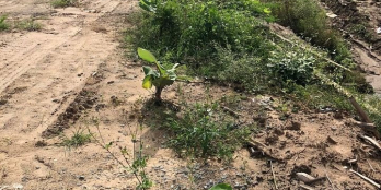 Đất cách bờ kè 6m đường 3m mặt tiền 17x18,21