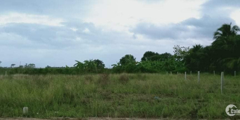 Đất xã thành hải cần bán diện tích 321 m2