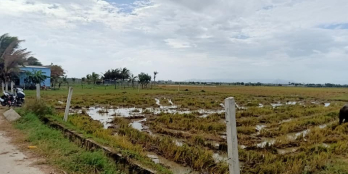 Đất mặt đường bê tông xe tải đi thoải mái. Cách quốc lộ 1A chỉ 1km