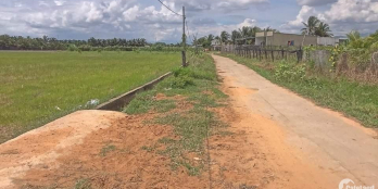 Cần bán lô nông nghiệp ở xã Thành Hải