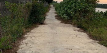 Bán lô đất nông nghiệp CLN diện tích 500m² đường bê tông ô tô vào tới đất.