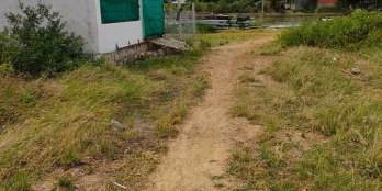 Cần tiền bán gấp lô giấy tay ( có sổ chính) gần trạm y tế xã Thành Hải